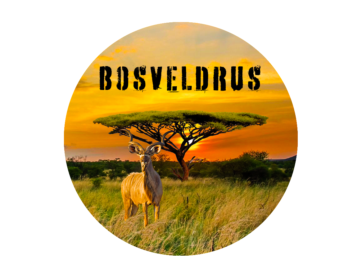 Bosveldrus